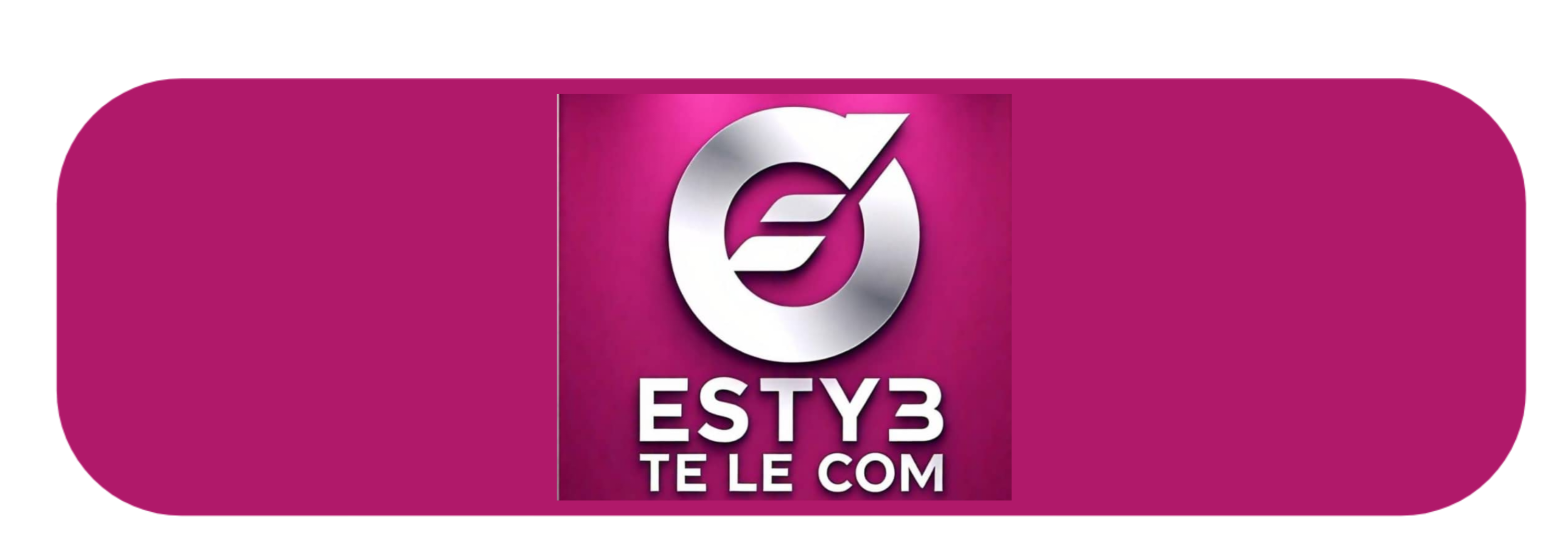 Esty-B Telecom  Logo